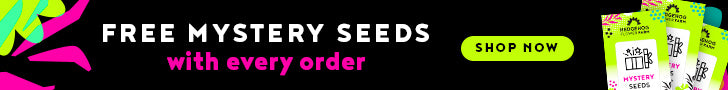 HedgehogFlowerFarm.com