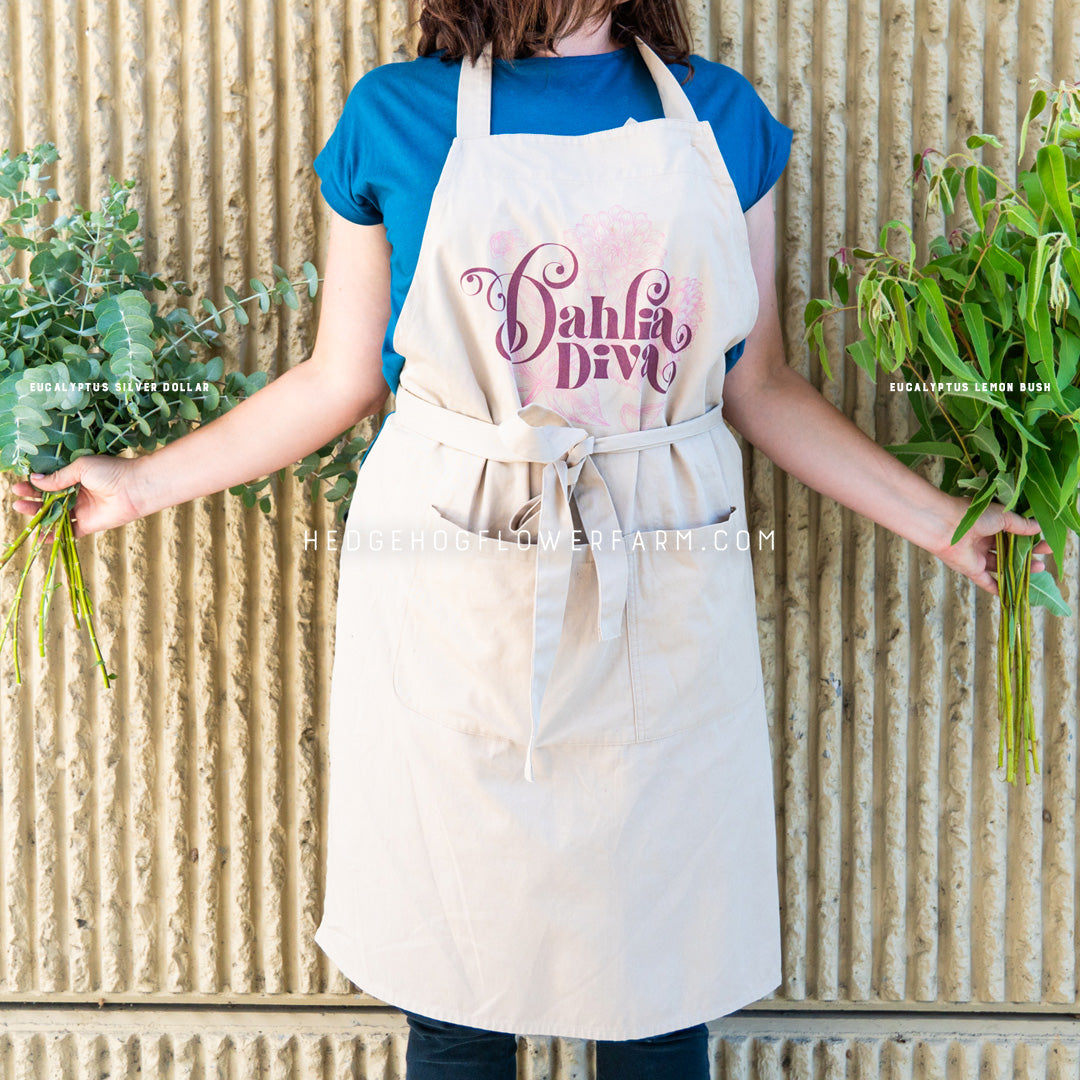 Close-up photo of Eucalyptus Silver Dollar (on left) and Eucalyptus Lemon bush (on right) cut into multiple stems, arranged in bouquet fashion showing many leaves in shades of blue and green, being held in each hand by someone posing with a beige apron against a beige wall.