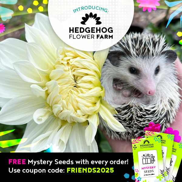 Mystery Seed Pack