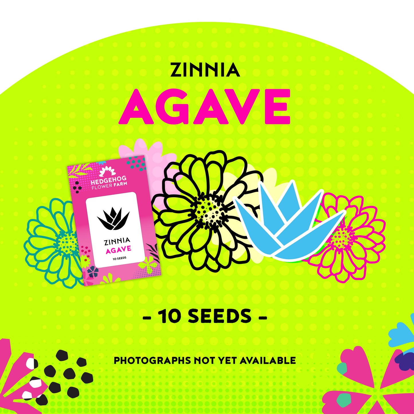 Zinnia Agave Seeds
