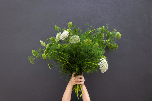 Best Fillers for Anemones and Ranunculus