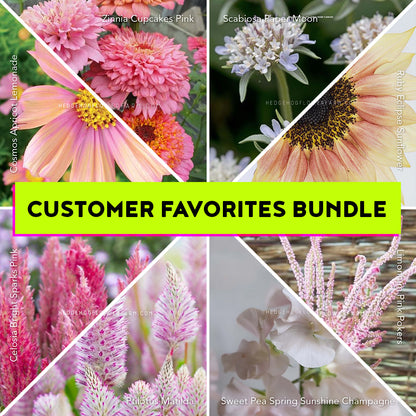 Customer Favorites Bundle - 8 Cut Flower Seed Types