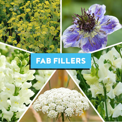 Collage of various filler flowers with 'FAB Fillers' text overlay.