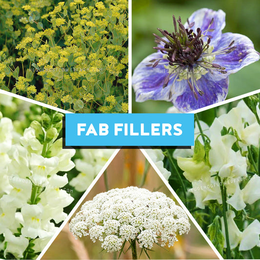 Collage of various filler flowers with 'FAB Fillers' text overlay.