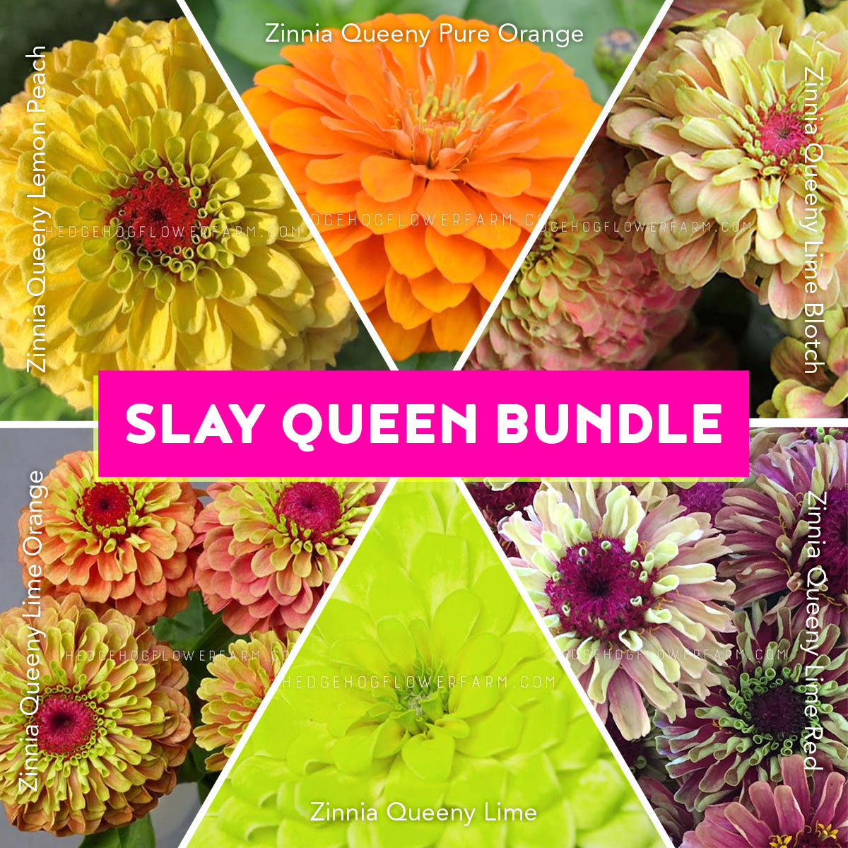 Zinnia Slay Queen Bundle
