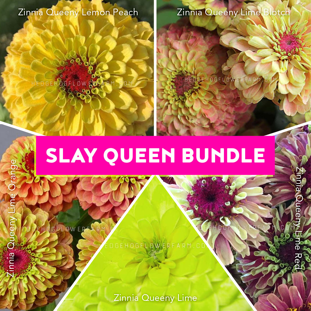 Zinnia Slay Queen Bundle