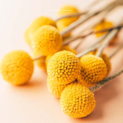 A bunch of yellow billy buttons laid down on a peach colored table showing round, yellow blooms on green stems.