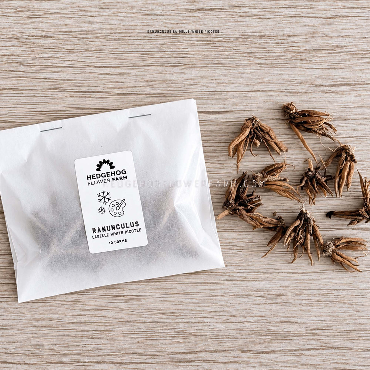 Picture of a LaBelle White Picotee Pack of corms on the left and showing loose corms to the right against a wood grain background