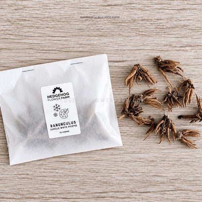 Picture of a LaBelle White Picotee Pack of corms on the left and showing loose corms to the right against a wood grain background