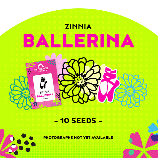 Zinnia Ballerina Seeds