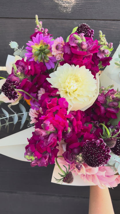 Cannes 2-3 Velvet Red Snapdragon Seeds